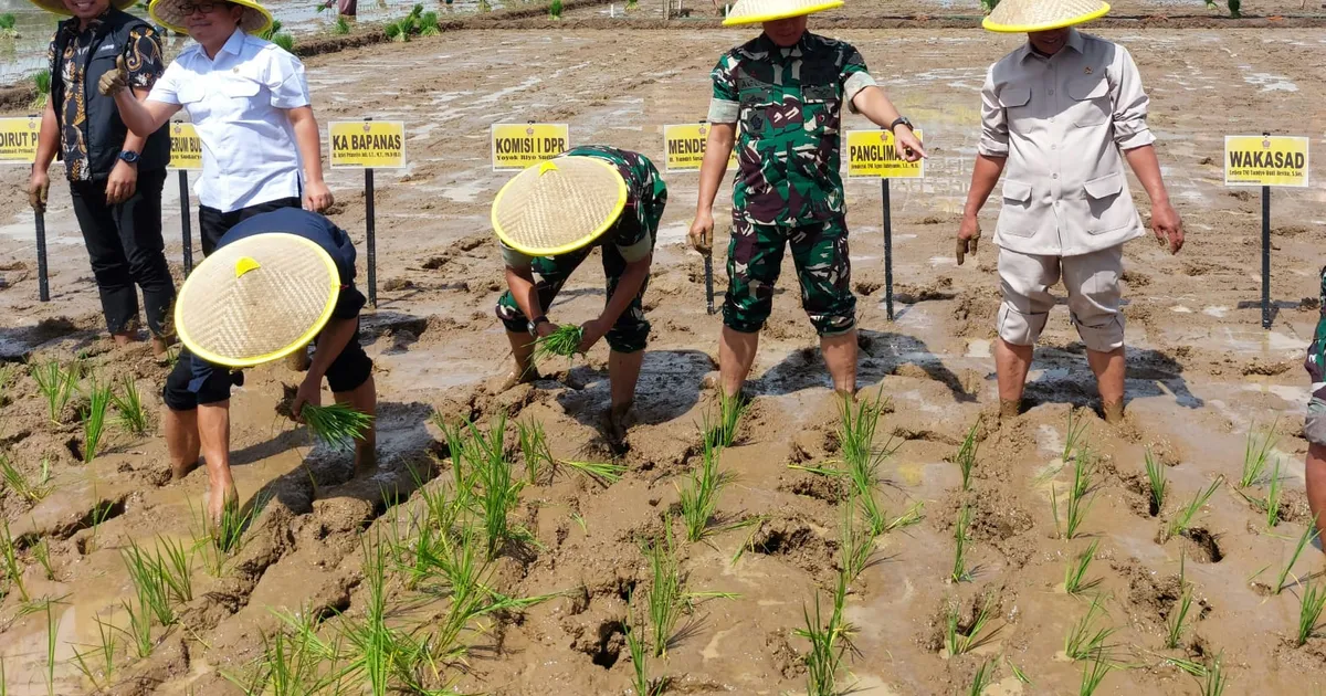 Genjot Swasembada Pangan Nasional, Pemalang Ditarget Tana...