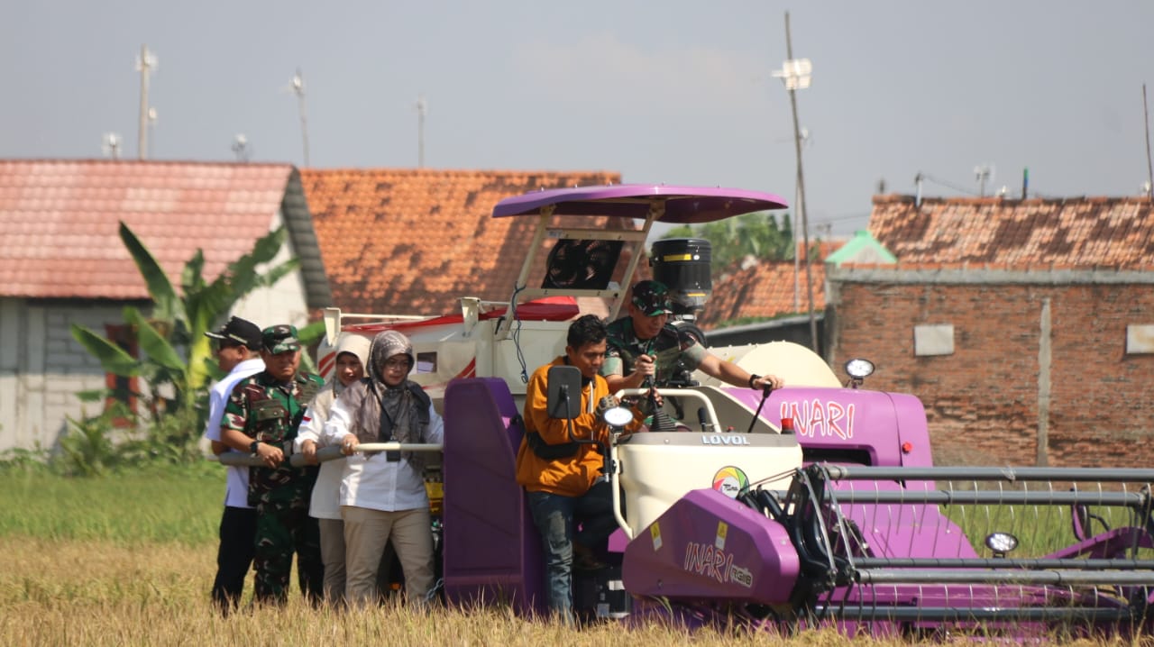 Lahan Tidur 10 Tahun di Pekalongan Kembali Produktif