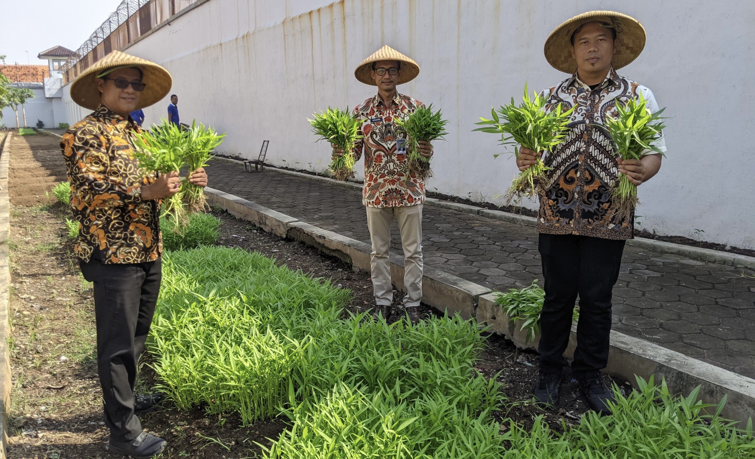 Dua Hari Sekali Panen, Pertanian Rutan Pekalongan Gairahkan Semangat Kemandirian WBP