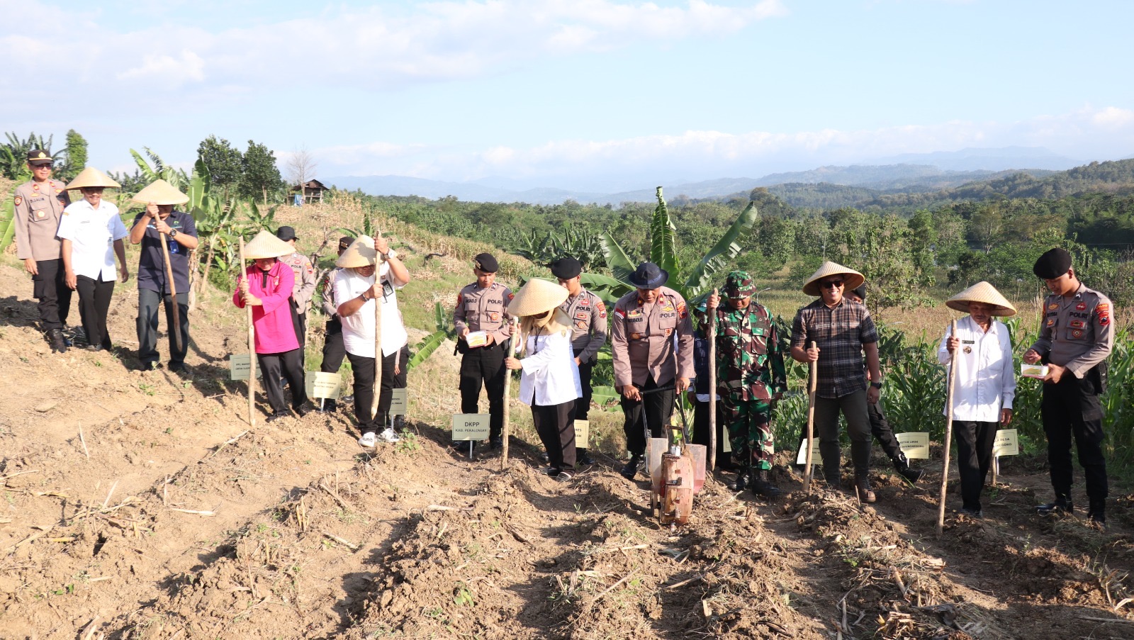 Dukung Program Swasembada Pangan 2025, Polres Pekalongan dan Jajarannya Tanam Jagung Serentak