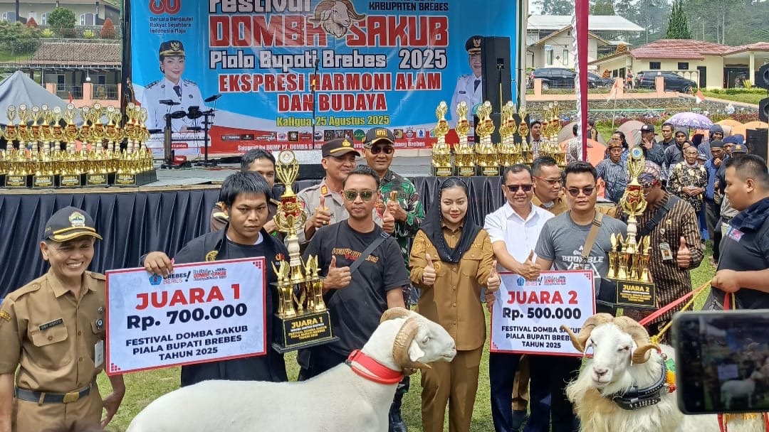 Festival Domba Sakub, Harapan Baru Brebes di Panggung Nasional