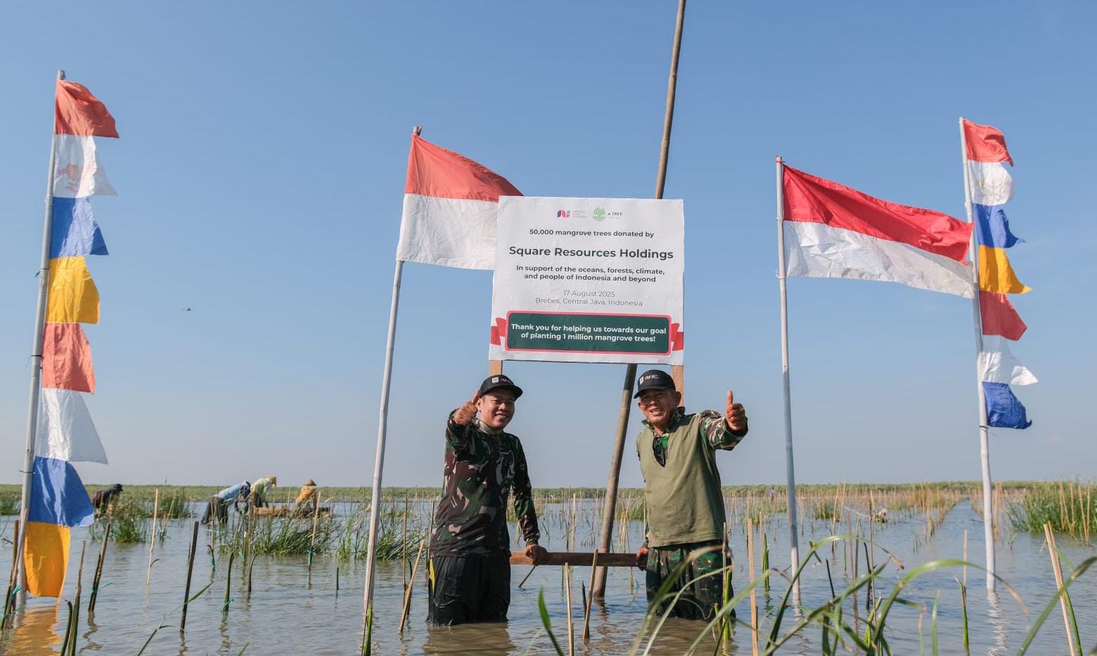 Lindungi Pemukiman Pesisir, Brebes Tanam 50 Ribu Pohon Mangrove