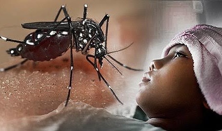 Kasus DBD di Pemalang Tembus 73 Pasien, Didominasi Wilayah Kota