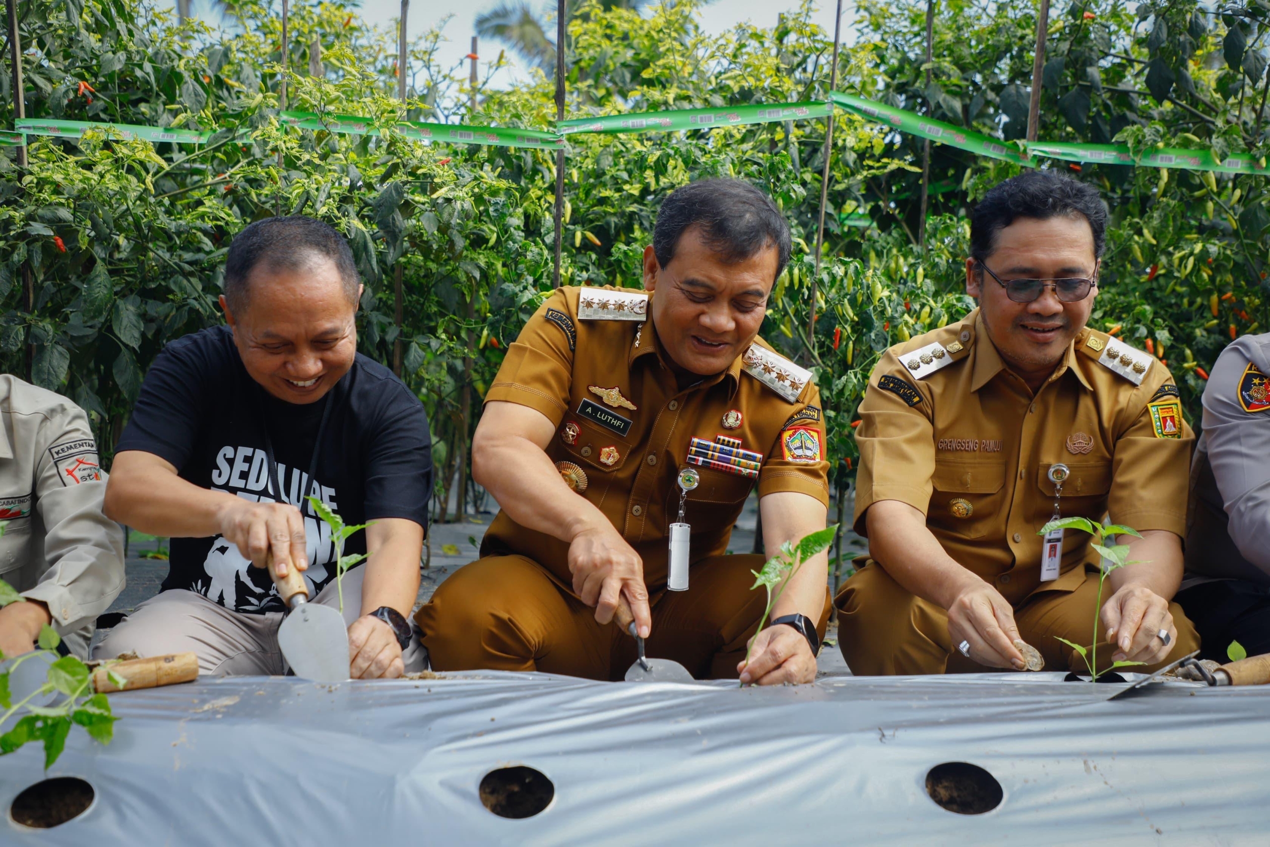 Gubernur Ahmad Luthfi: Harga Cabai Stabil, Inflasi Jawa Tengah Terkontrol