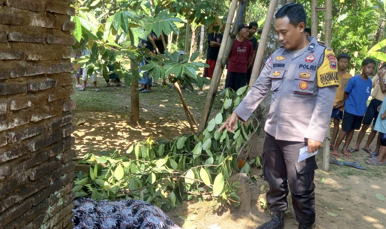 Warga Desa Menjangan Ditemukan Meninggal di Belakang Rumah, Diduga Jatuh Saat Petik Nangka