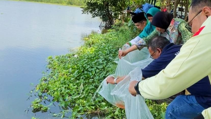 Wujud Kasih untuk Bumi, Pemuda Katolik Tebar Ribuan Benih Ikan dan Eco Enzyme di Polder Bayeman Tegal