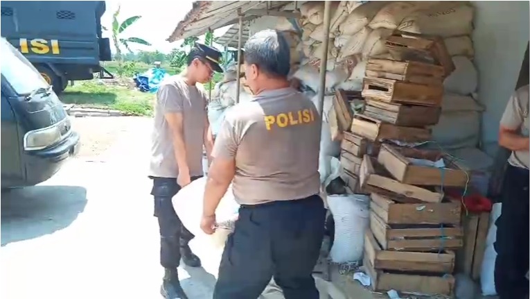 Dukung Ketahanan Pangan, Polres Pekalongan Kirim 13 Ton Jagung Kering ke Bulog