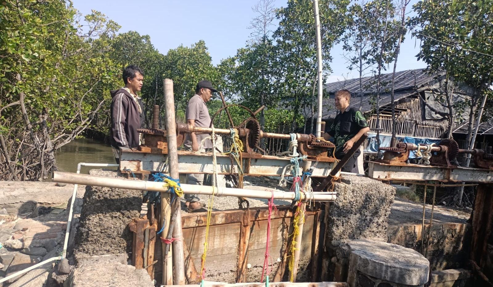 Banjir Rob di Muarareja, DPUPR Laporkan Kerusakan Pintu Air dan Usulkan Perbaikan Infrastruktur