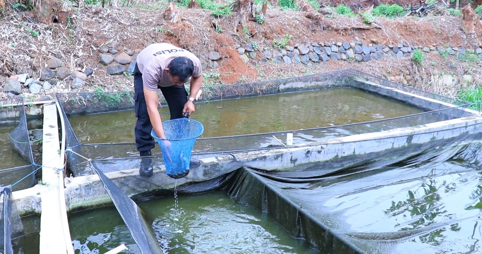 Sukses Berwirausaha, Bhabinkamtibmas di Pekalongan Raup Omzet Belasan Juta dari Budidaya Lele