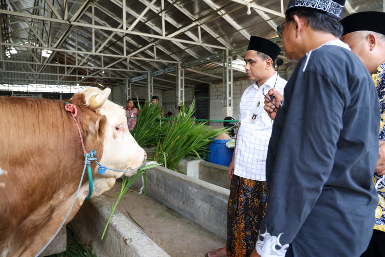 RPH Halal MAJT MAS Diresmikan, Perkuat Ekosistem Produk Halal di Jawa Tengah
