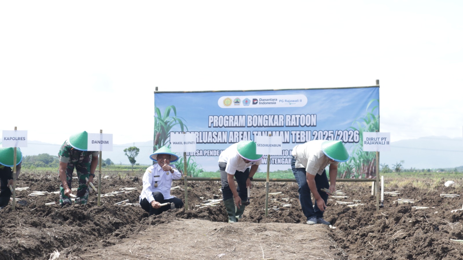 Dorong Swasembada Gula, Brebes Siapkan 1.400 Ha Lahan Tebu