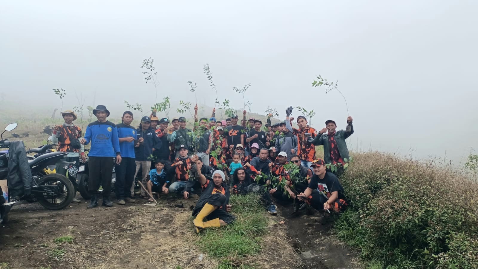 Perhutani KPH Pekalongan Barat Lakukan Penyulaman di Hutan Lindung Sawangan