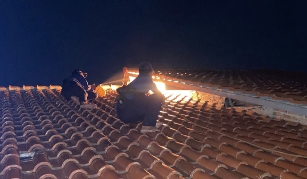 Jangan Nekat Tangani Sendiri, Damkar Pemalang Ingatkan Bahaya Tawon Vespa