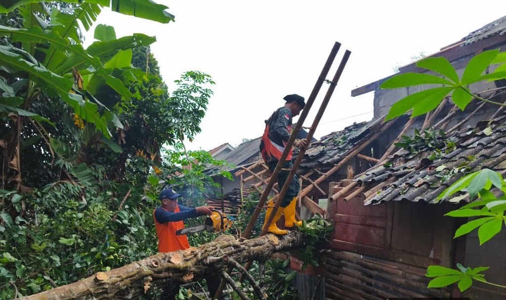 Kronologi Pohon Tumbang Timpa 5 Rumah Warga di Batang