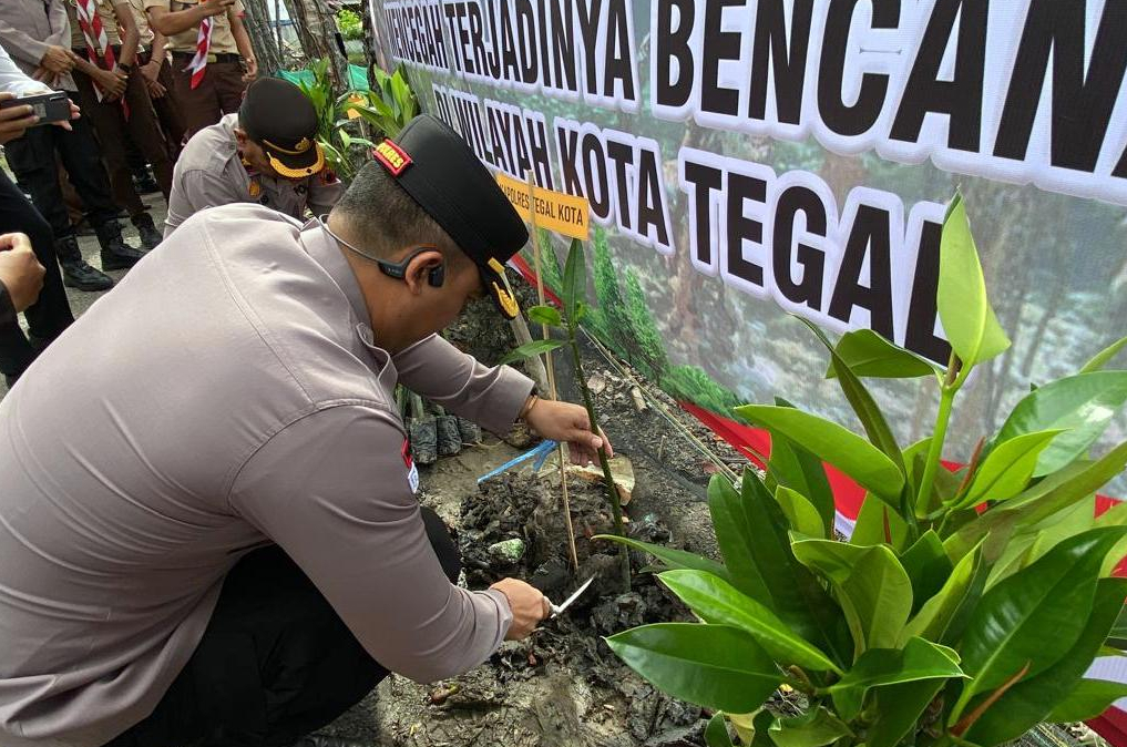 Polres Tegal Kota Tanam Ribuan Mangrove di Kawasan Kajongan