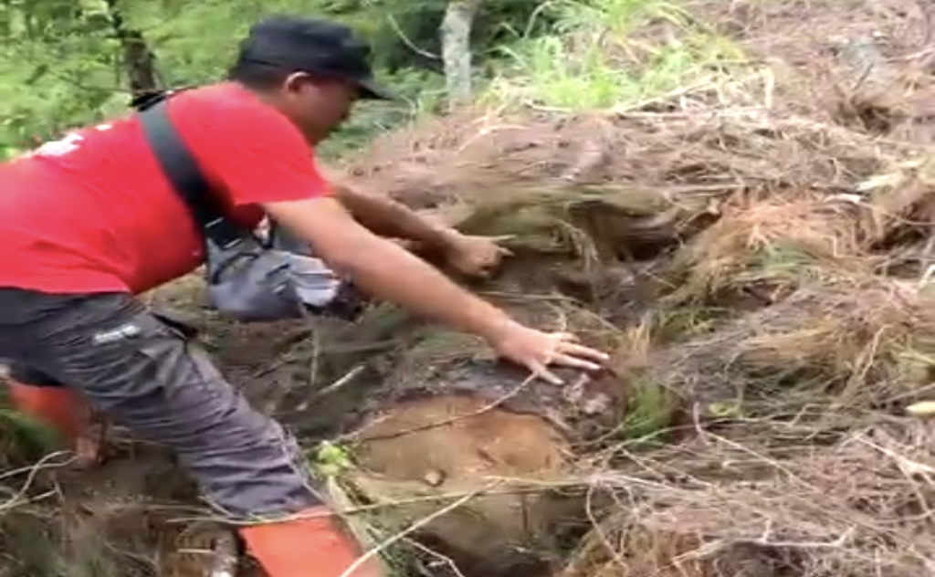 Aktivitas Garapan dan Dugaan Penebangan Liar Kembali Ditemukan di Hutan Lindung Paguyangan