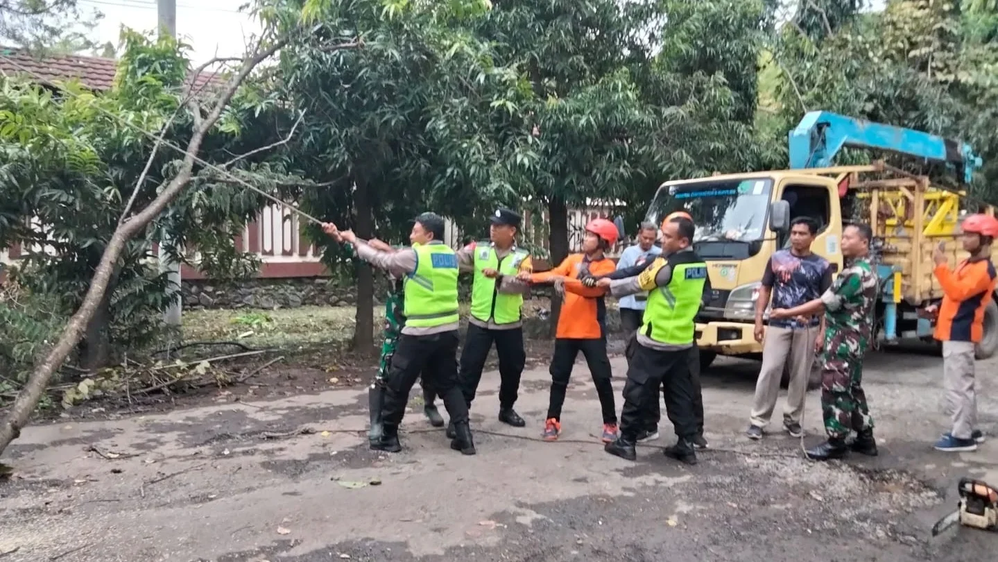 Ranting Pohon Patah Timpa Kabel Listrik di Depan SMKN 1 Kedungwuni Pekalongan
