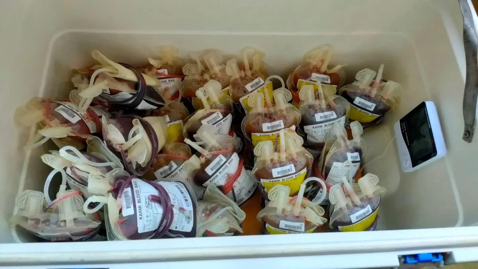 Stok Darah PMI Kota Tegal Menipis, Golongan A Tersisa 5 Kantong