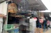 Berawal Dari Pinggir Jalan, Pak Suwarti Rintis Usaha Burung Hias di Kota Tegal