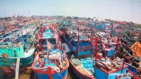 150 Kapal Nelayan Menganggur di Pelabuhan Tegal, Ini Penyebabnya