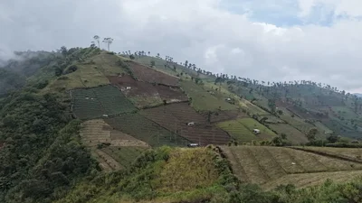 Aliansi Peduli Lingkungan di Guci Tegal Jadwalkan Tanam Pohon Serentak di Lereng Gunung Slamet