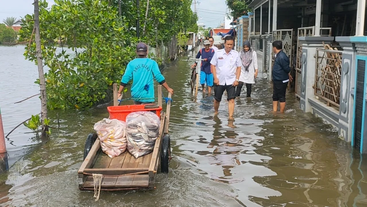 BMKG Keluarkan Peringatan Dini Banjir Rob Pesisir Tegal Pada 17 Januari 2026
