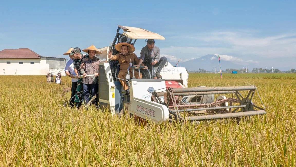 Pidana hingga Insentif PBB, Jurus Jateng Jaga Sawah untuk Swasembada 2026