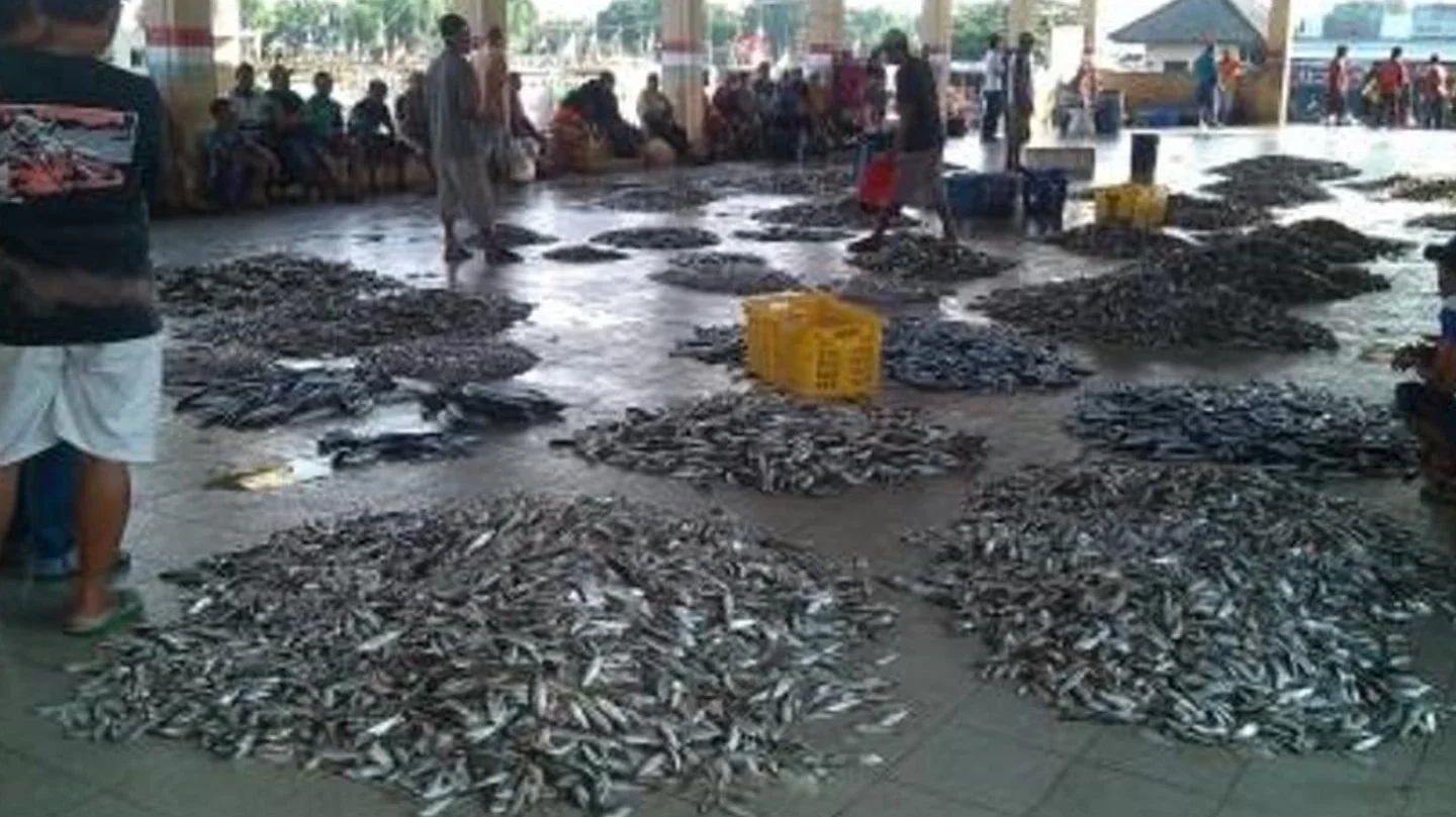 Nelayan Keluhkan Pembayaran Lelang Ikan di TPI Tawang Kendal Tak Langsung Tunai