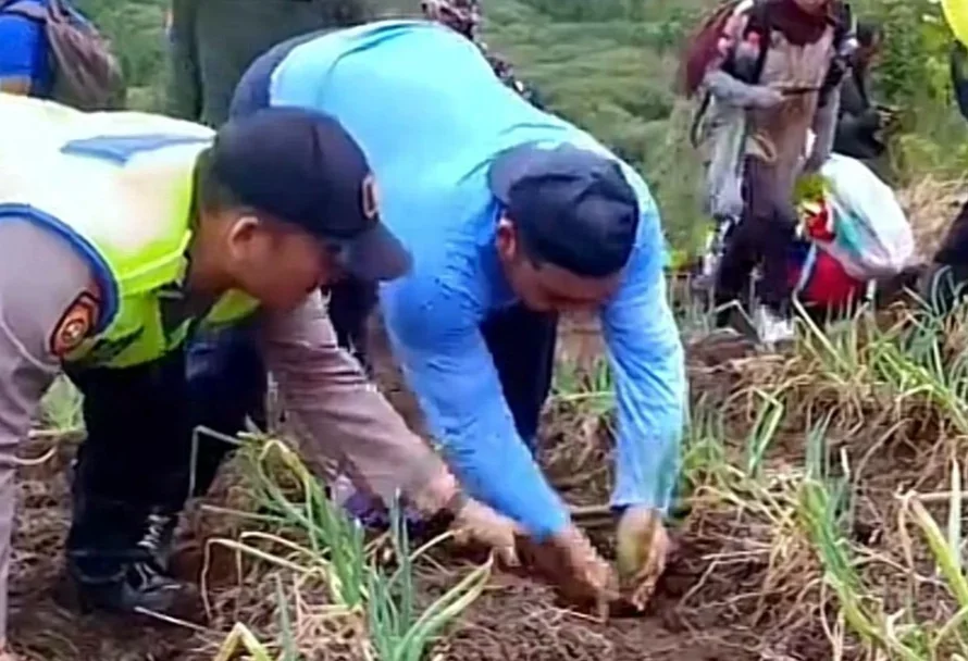 Soal Alih Fungsi Lahan, Petani Sayuran di Lereng Gunung Slamet Guci Butuh Solusi