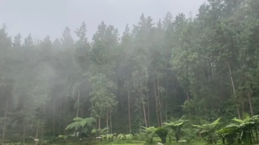 Cuaca berkabut di Wisata Guci Tegal