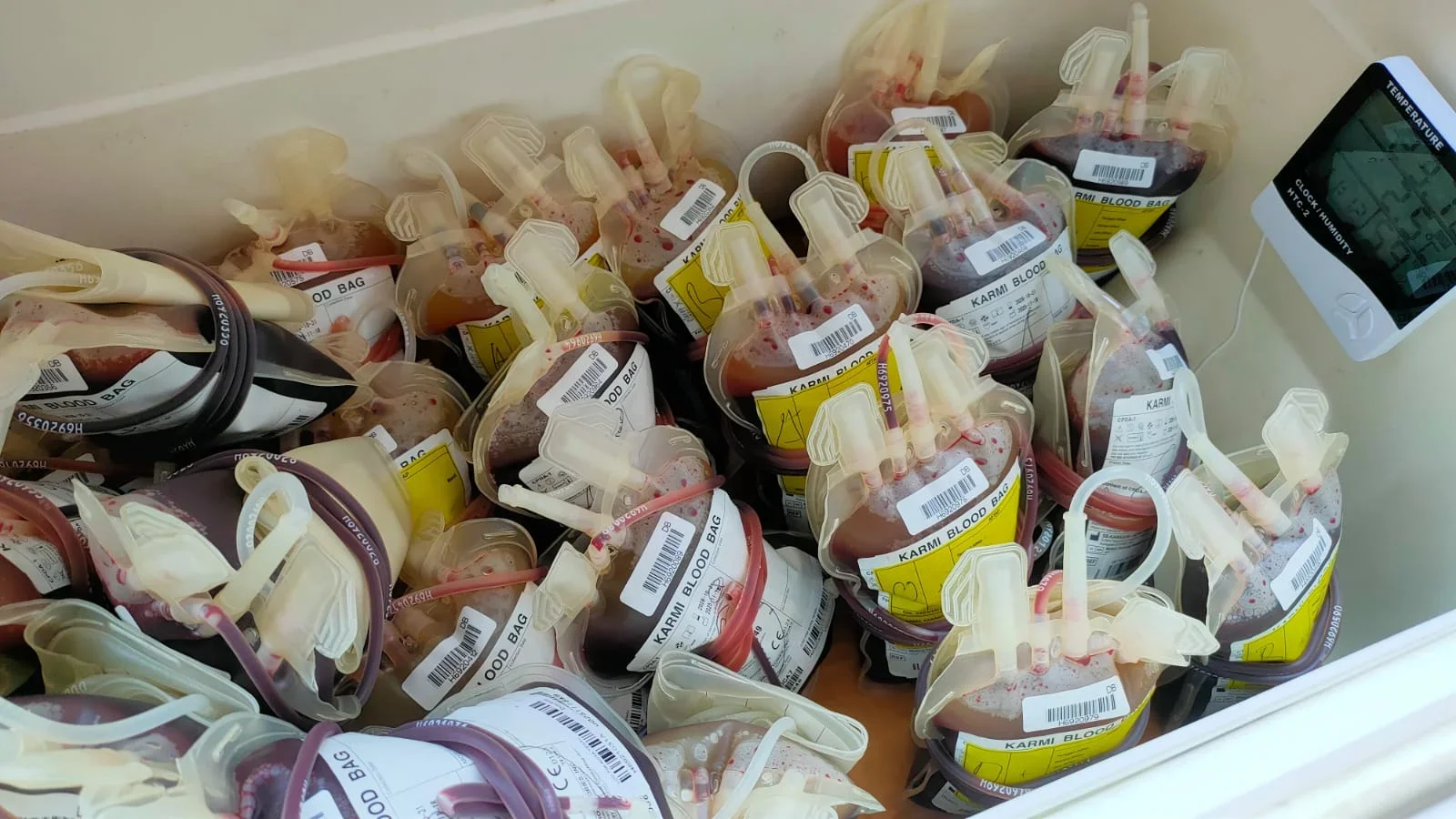 Stok Darah PMI Kota Tegal, Kamis 29 Januari 2026
