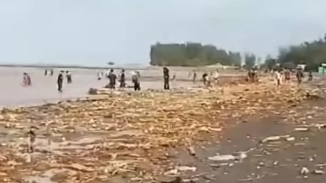 Kayu dan Pipa Penuhi Pantai Larangan Tegal, Diduga Kiriman Banjir Bandang Guci