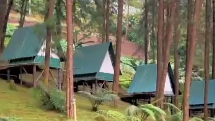 Rumah Angsa Guci, Tempat Camping Ground Terbaik di Tegal, Harga Sewa dan Rute