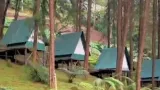 Rumah Angsa Guci, Tempat Camping Ground Terbaik di Tegal, Harga Sewa dan Rute