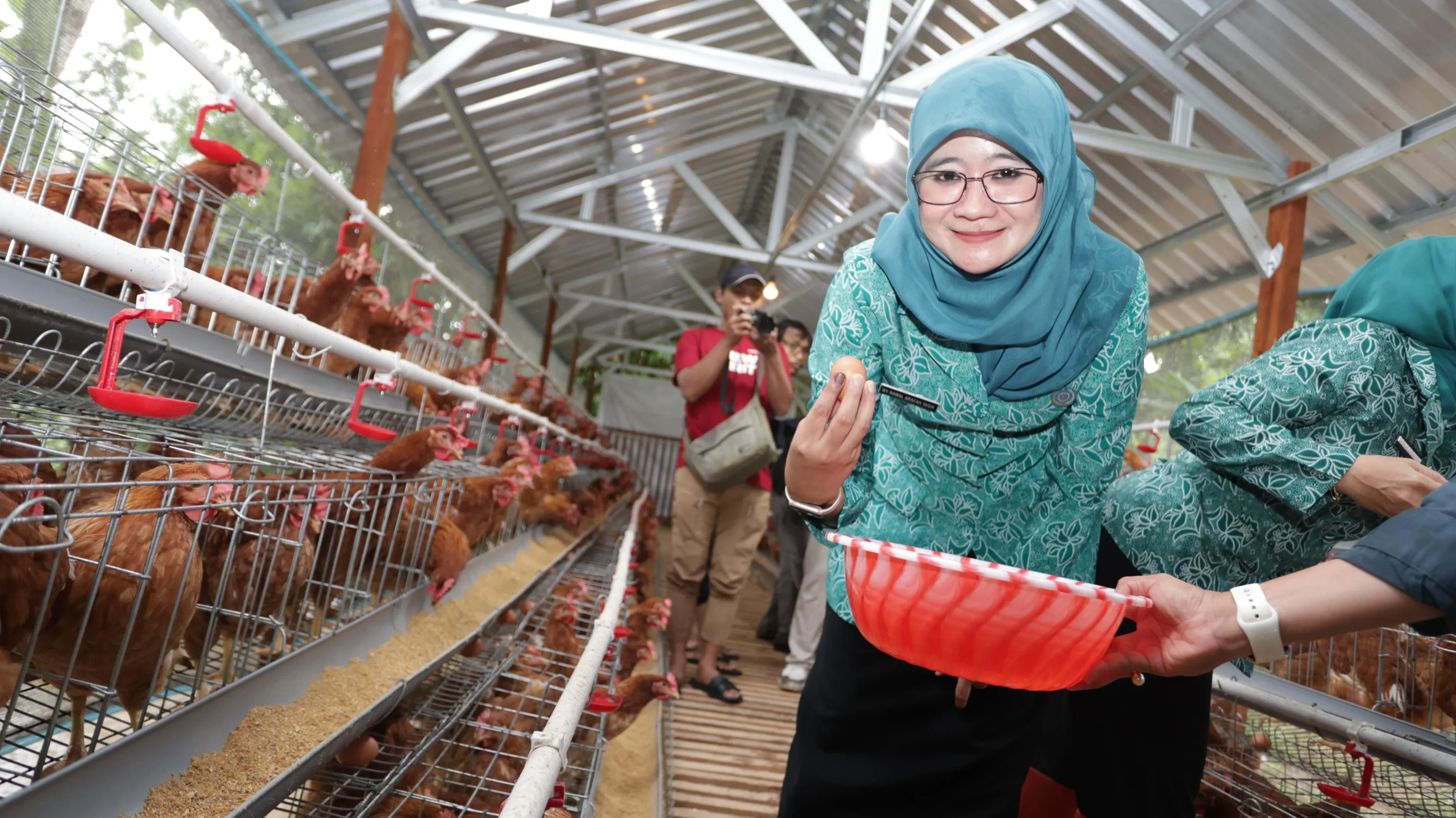Nawal Yasin Tinjau Peternakan Ayam di Kudus