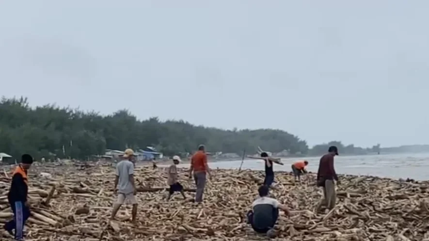 Tumpukan Kayu di Pantai Larangan Tegal, Bukti Kerusakan Hutan di Lereng Gunung Slamet