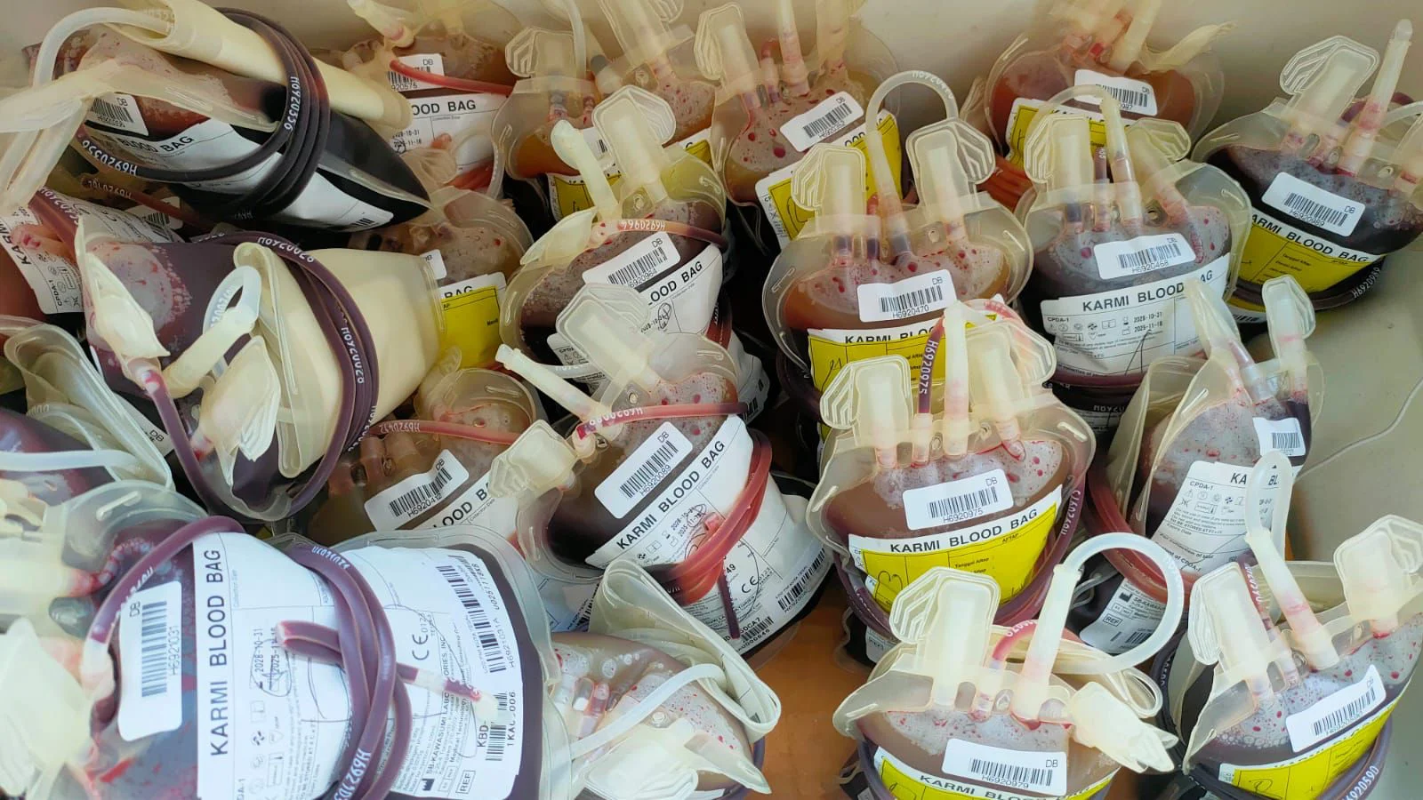 Stok Darah PMI Kota Tegal, Rabu 28 Januari 2026 Mulai Meningkat