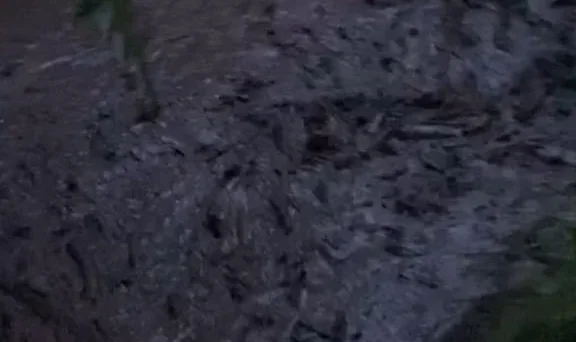 Diwaspadai, Banjir di Sungai Gintung Bawa Material dari Gunung Slamet