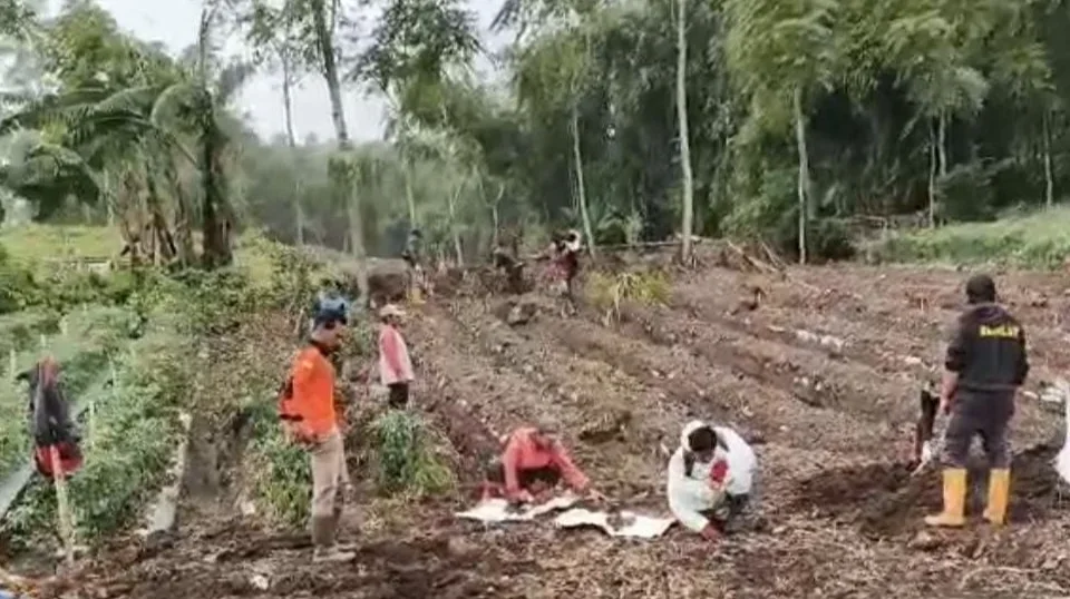Relawan, TNI Polri dan Petani Pemalang Bersihkan Lahan Pertanian