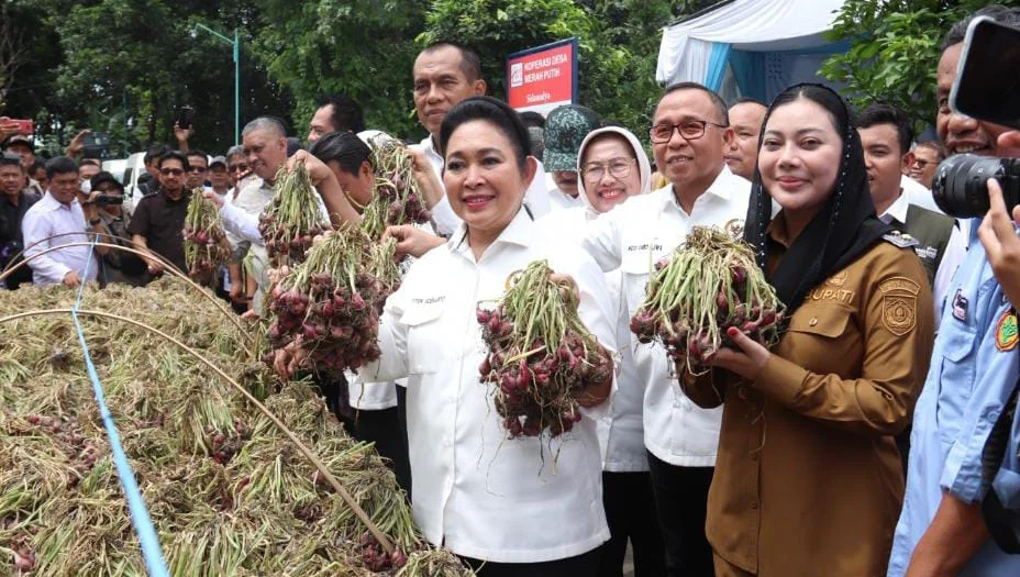 Titiek Soeharto Tinjau Industri Bawang Merah Brebes