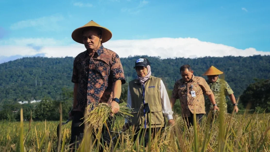 Jateng Awali Panen Raya Padi, Ditaksir Hasilkan 3,35 Juta Ton dalam Tiga Bulan