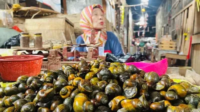 Menu Makanan Khas Ramadan, Botok Keong Sawah Bumbu Kelapa Pedes dan Gurih