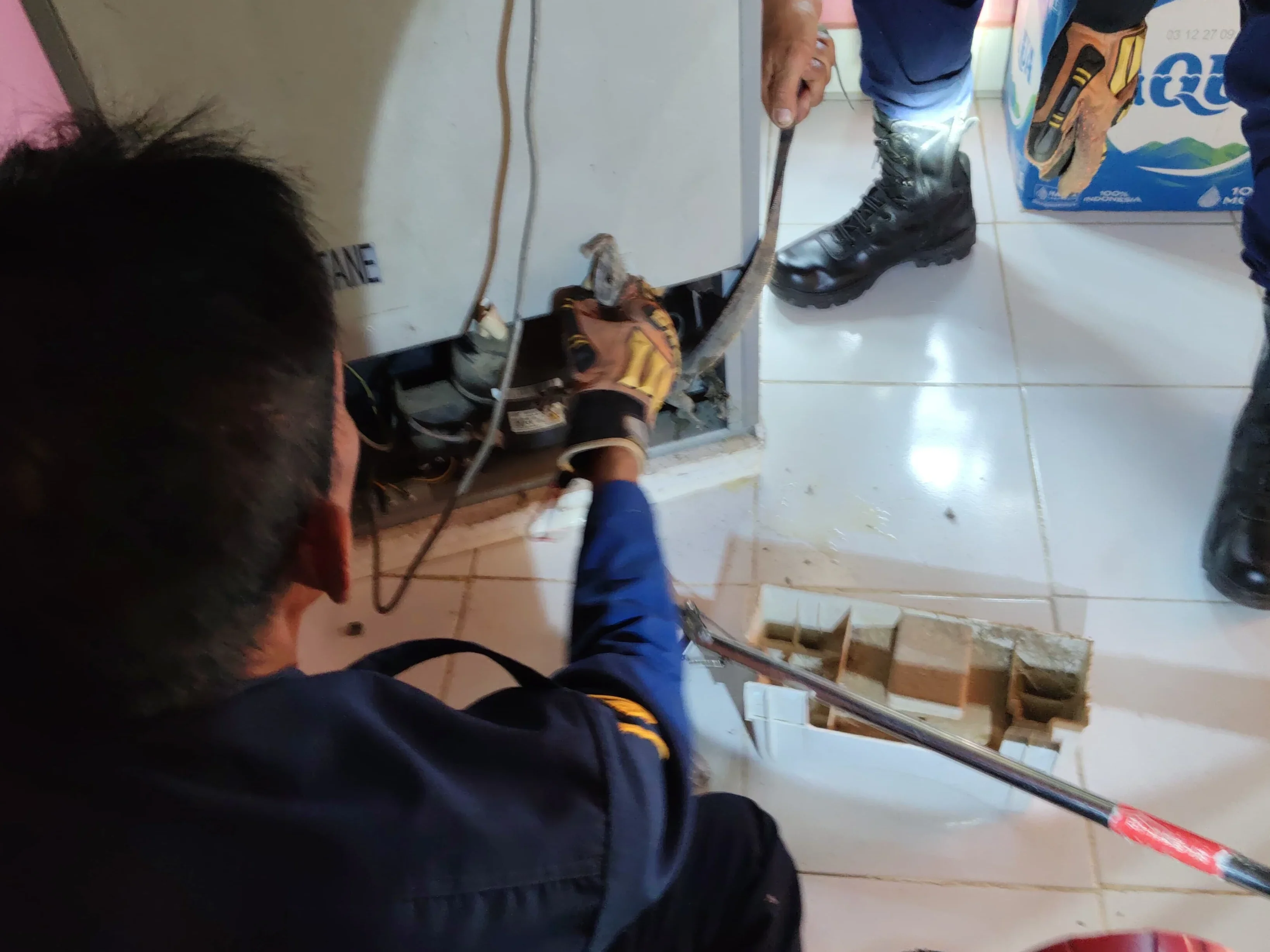 Bikin Gempar Satu Keluarga di Pemalang, Biawak Masuk Kulkas, Kok Bisa?