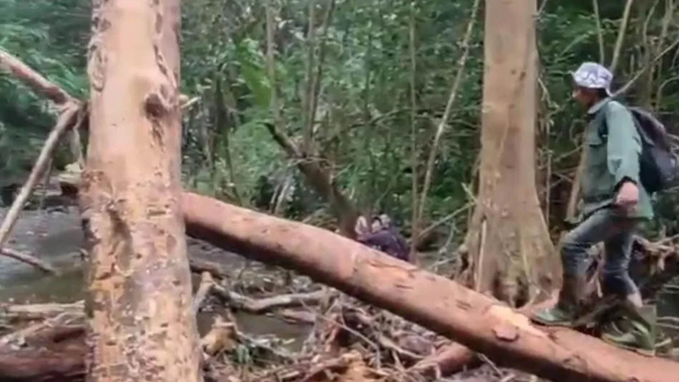 Tebing Longsor di Genting Gunung Kendal, Camat Sukorejo Bergerak Cepat Cegah Ancaman Bencana Susulan