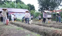 Pemkab dan Polres Brebes Aksi Tanam Jagung Serentak, Ini Tujuannya