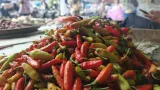 Harga Bahan Pokok di Pasar Bumiayu Naik Jelang Lebaran 2026, Cabai Rawit Merah Tembus Rp110 Ribu per Kilogram