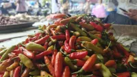 Harga Bahan Pokok di Pasar Bumiayu Naik Jelang Lebaran 2026, Cabai Rawit Merah Tembus Rp110 Ribu per Kilogram