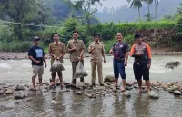 Relawan Peduli Salem Tebar Benih Ikan di Sungai Cigunung