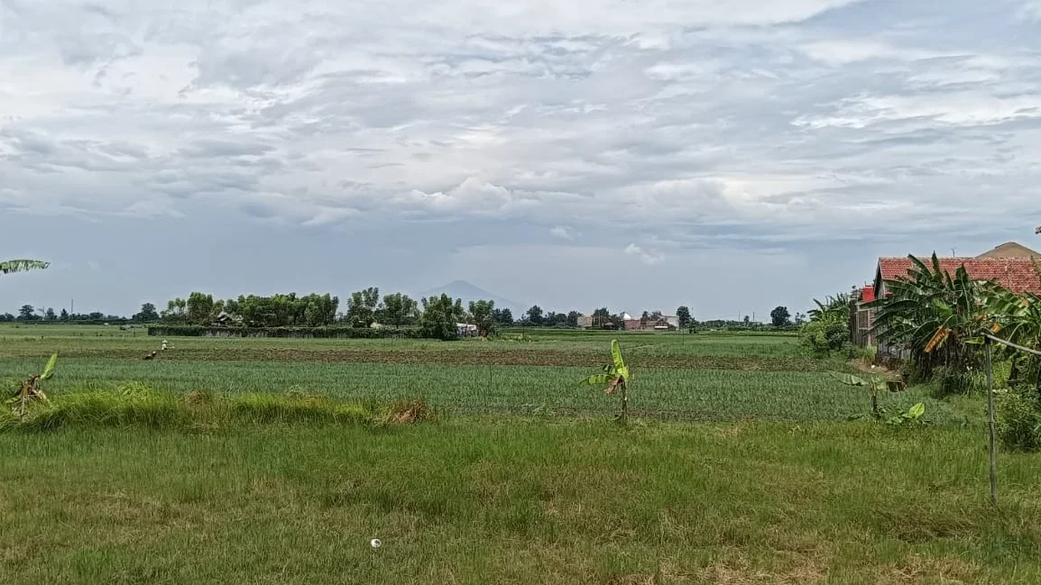Tindak Lanjut Perpres 4/2026, Brebes Tegaskan LP2B dalam RTRW Daerah