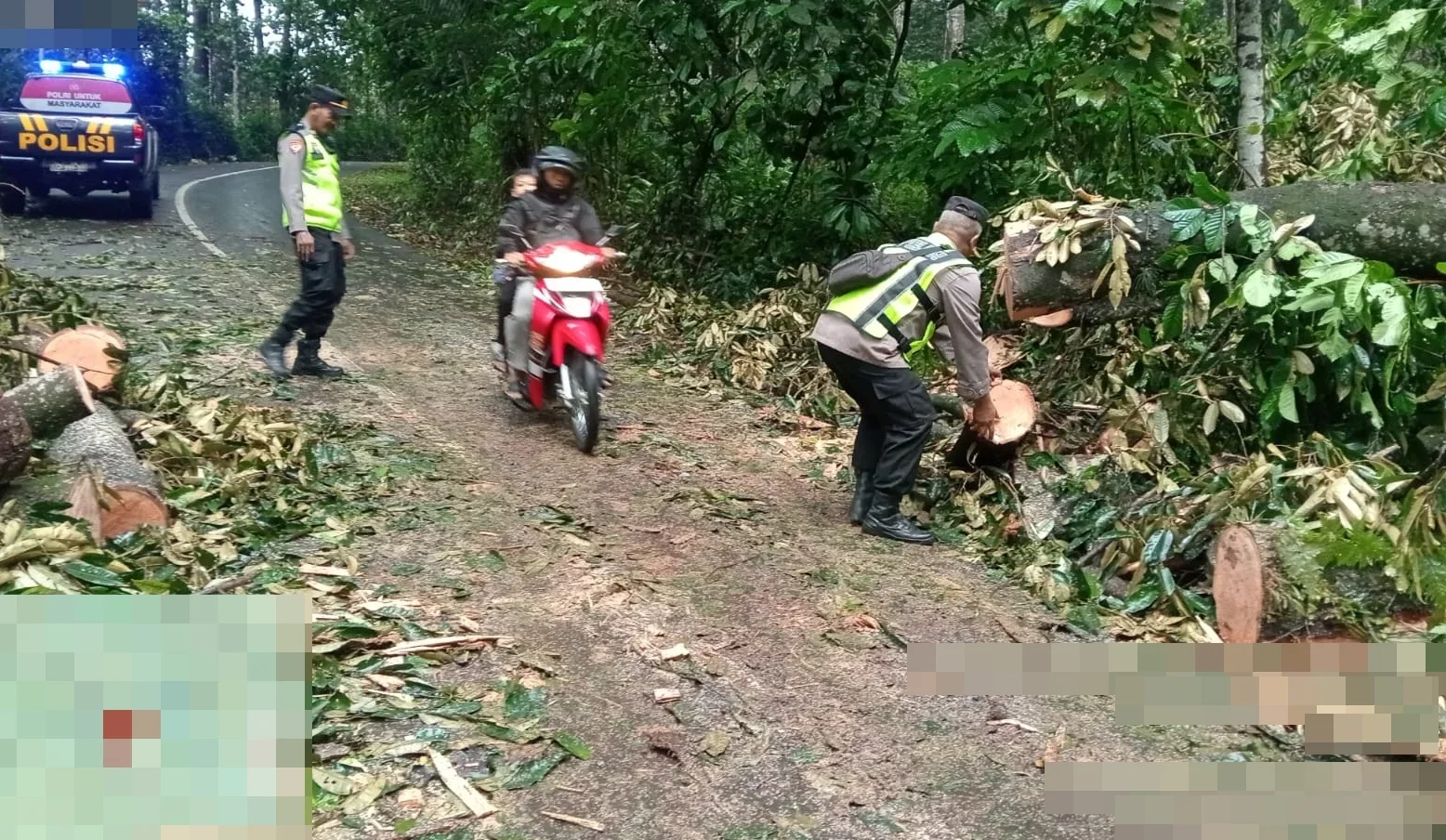 Sebuah pohon durian tumbang dan menutup akses jalan raya di wilayah Desa Lolong, tepatnya di jalur Karanganyar–Lebakbarang, Kamis (26/3/2026) pagi